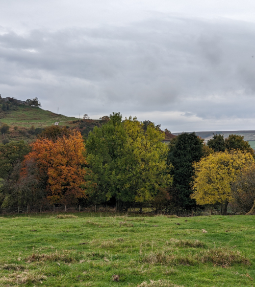 picture of North Yorkshire countryside